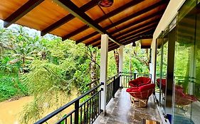 Rainforest River Bay